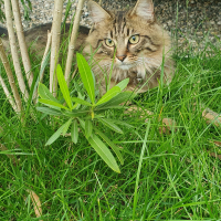 Photo #285738 de Uno