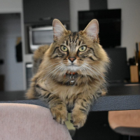 Photo #285741 de Uno