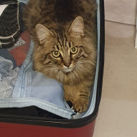 Photo #285747 de Uno