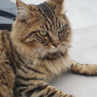 Photo #285759 de Uno