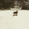 Photo #286630 de Mouna 
