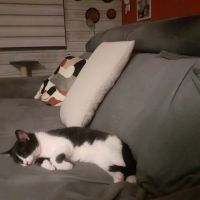 Photo #286906 de Tinou
