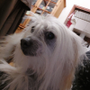 Photo #287005 de Victor