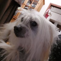 Photo #287005 de Victor