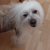 Photo #287011 de Victor