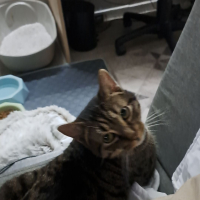 Photo #287020 de Nala