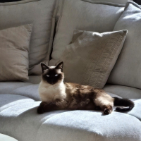 Photo #287065 de Jaellys 