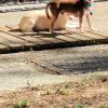 Photo #287083 de Teddy 