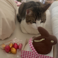 Photo #287143 de Praline