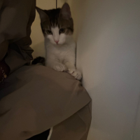 Photo #287146 de Praline