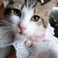 Photo #287149 de Praline
