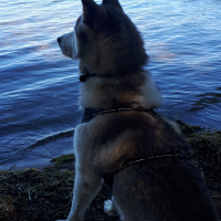 Photo #287173 de Esteban