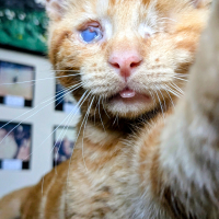 Photo #287188 de O'Malley 