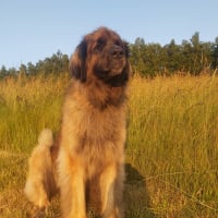 Photo #287197 de Blue