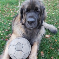 Photo #287200 de Blue