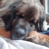 A la sieste