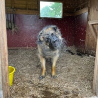 Photo #287206 de Blue