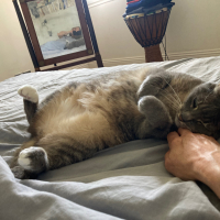 Photo #287227 de Messie 