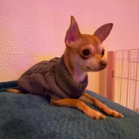 Photo #287269 de Sushi 
