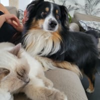 Photo #287371 de Pepsy