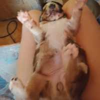 Photo #287398 de Artémis 