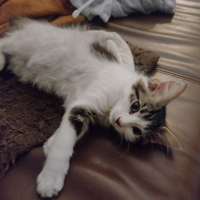 Photo #287401 de Neige 