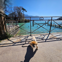 Photo #287404 de Charlie