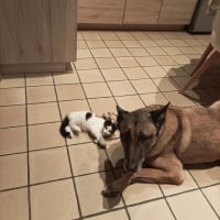 Photo #287407 de Alpha