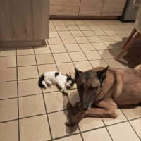 Photo #287410 de Alpha