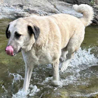 Photo #287416 de SKY