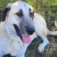 Photo #287425 de SKY