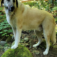 Photo #287428 de SKY