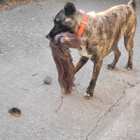 Photo #287440 de ARLEY