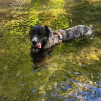 Photo #287446 de ARLEY