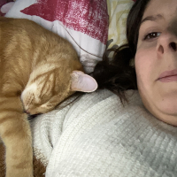 Photo #287473 de Biscotte