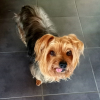 Photo #287497 de Matane