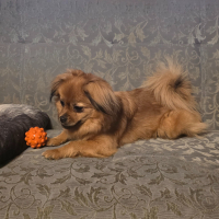 Photo #287512 de Angelle