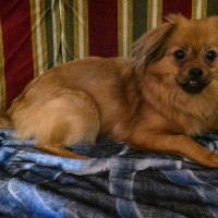 Photo #287536 de Angelle