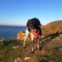 Photo #287557 de Freyja