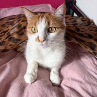 Photo #287581 de boncuk