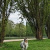 Photo #287605 de Selkie