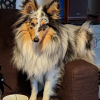 Photo #287617 de Selkie