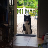 Photo #287641 de Oki