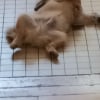 35 °
