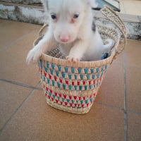 Photo #287689 de Bonita 