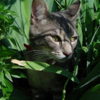 Photo de profil de Luna