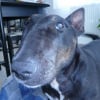 Photo de Fibi