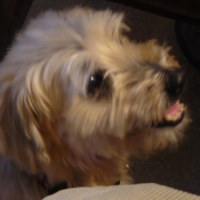 Photo de profil de Margot