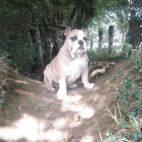 Photo de profil de Duddley