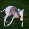 Photo de Darky